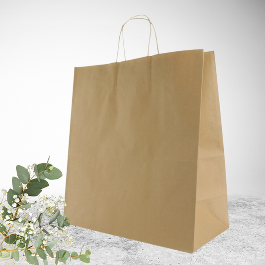 Kraft Paper Bag - Large (12 x 3.5 x 8.5)