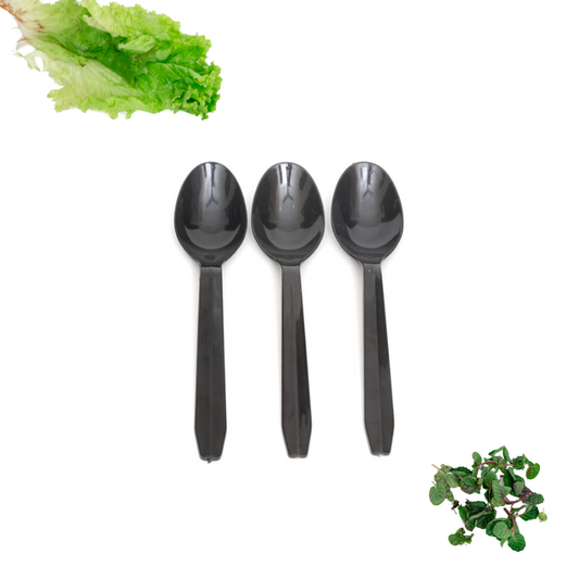 Black Plastic Disposable Spoons 1 Pack (100 Pieces)