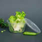 Transparent Round Container (16oz)